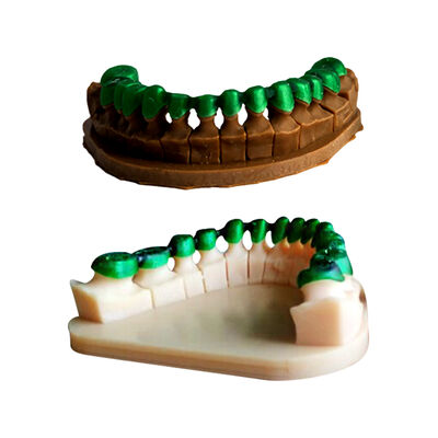 Creality 1000g UV Diş / Dental Reçine Filament - Şeffaf Yeşil - 3